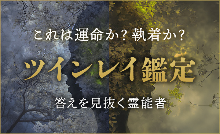 ツインレイ鑑定